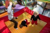 Gymboland  sector 6